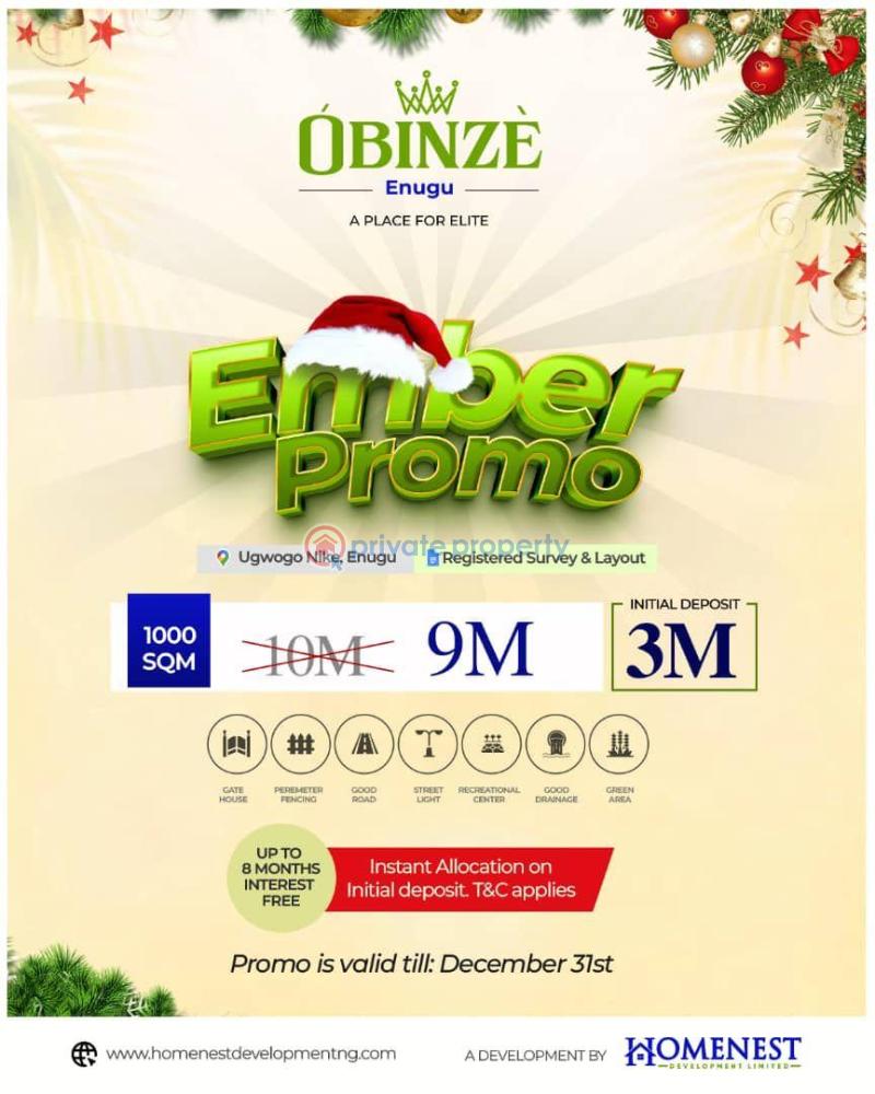 Residential Land For Sale Obinze Estate Ngwogo Nike Enugu Enugu Area  - 2