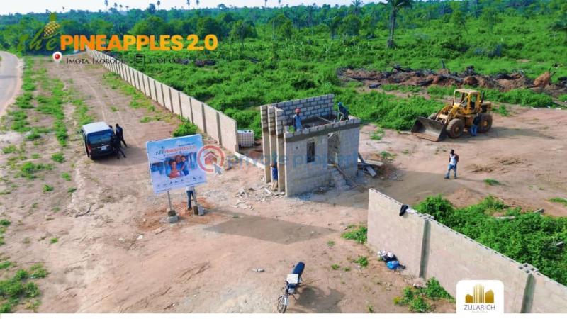 Dry land in ikorodu the pineapple 2.0 imota ikorodu - 3 Mixed use Land For Sale The Pineapple 2.0 Imota Ikorodu Ikorodu Lagos - 3