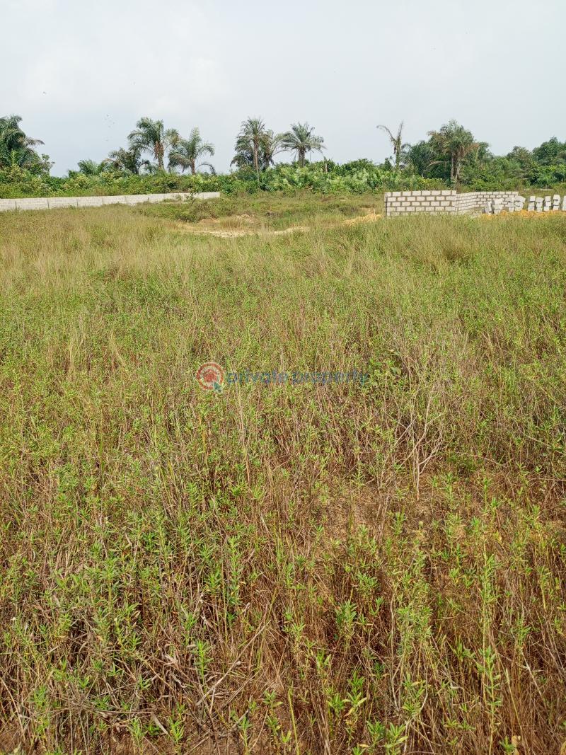 Dry land - 5 Mixed use Land For Sale Eleran Igbe Ibeju-Lekki Lagos - 5
