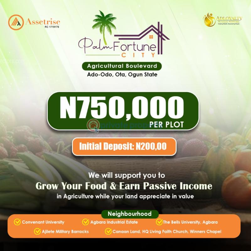 Residential Land For Sale Palm Fortune City Ado Odo Ota Ogun Ogun area  - 2