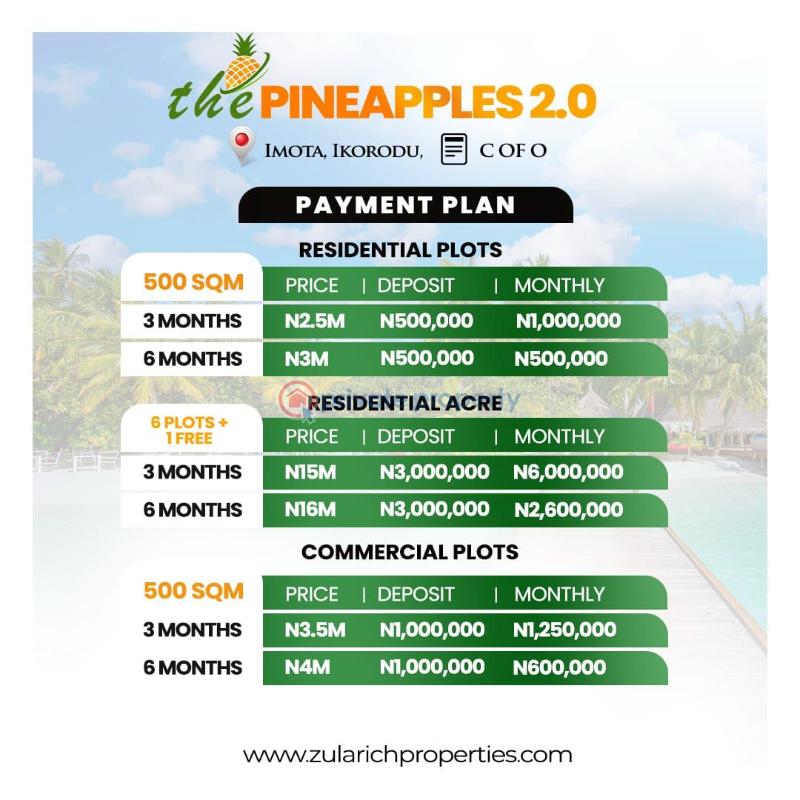 Mixed use Land For Sale Pineapple Phase 2, Imota Ikorodu Lagos - 6