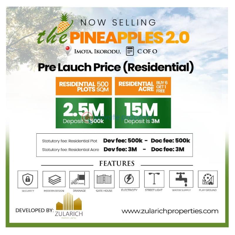 Mixed use Land For Sale Pineapple Phase 2, Imota Ikorodu Lagos - 2