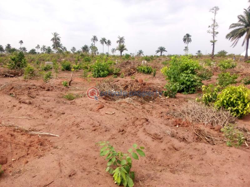 Mixed use Land For Sale Richpalms Estate Phase 2 Strategically Located In Monastery Road Sangotedo Lagos