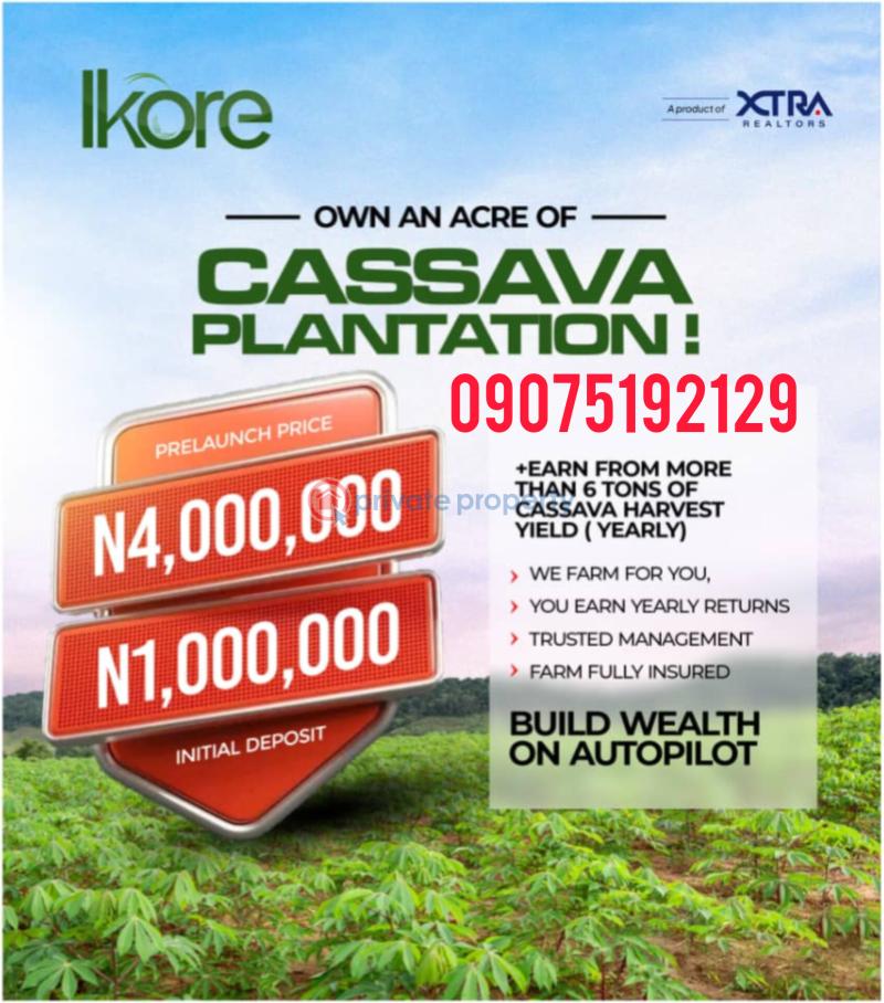 Land For Sale Wasimi Ado Iwaye Iseyin Iseyin Ibadan Oyo