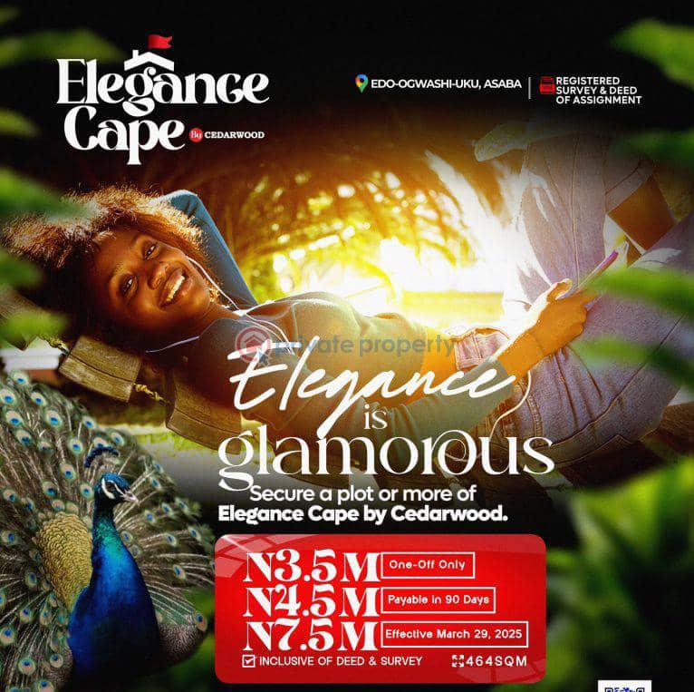 Residential Land For Sale Ogwashi Ukwu Town Hall, Ogwashi Ukwu Market, St'patrick's Catholic Church, Delta State Polytechnic, Ogwashi Ukwu General Hospital Asaba Delta