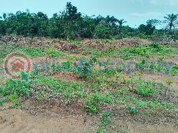 Commercial Land For Sale Grace Polytechnic Lagos State Film City Epe Resort Augustine University Alaro City Simi Lagos New International Airport Lagos State Food Hub Epe Lagos - 6