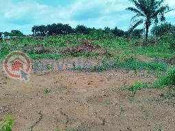 Commercial Land For Sale Grace Polytechnic Lagos State Film City Epe Resort Augustine University Alaro City Simi Lagos New International Airport Lagos State Food Hub Epe Lagos - 6