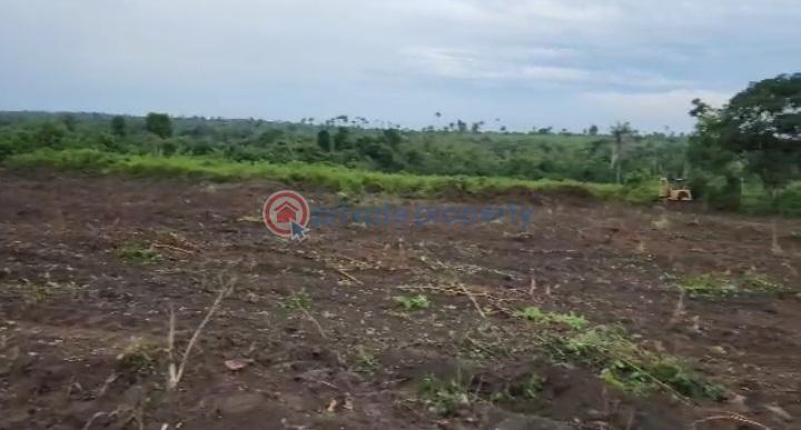 Land For Sale Citynest Estate Phase 5 Ketu Epe Lagos Epe Lagos - 8