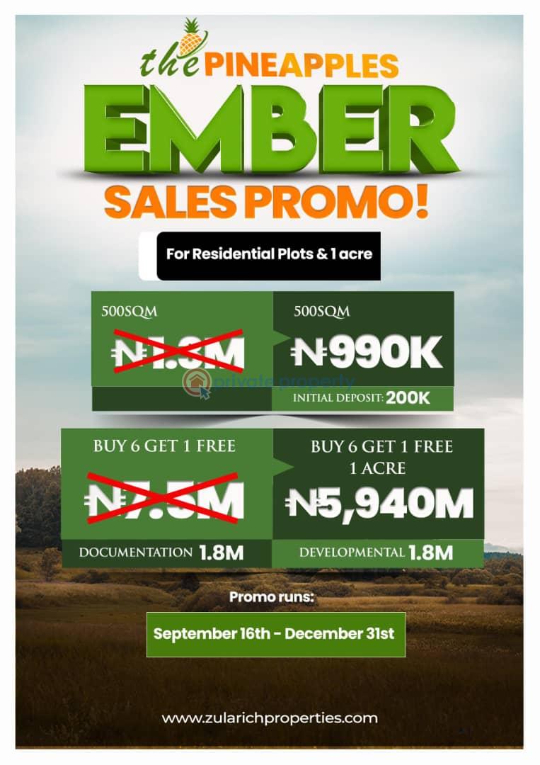 Residential Land For Sale The Pineapple 1.0 Imota Ikorodu Ogun Ogun area  - 0