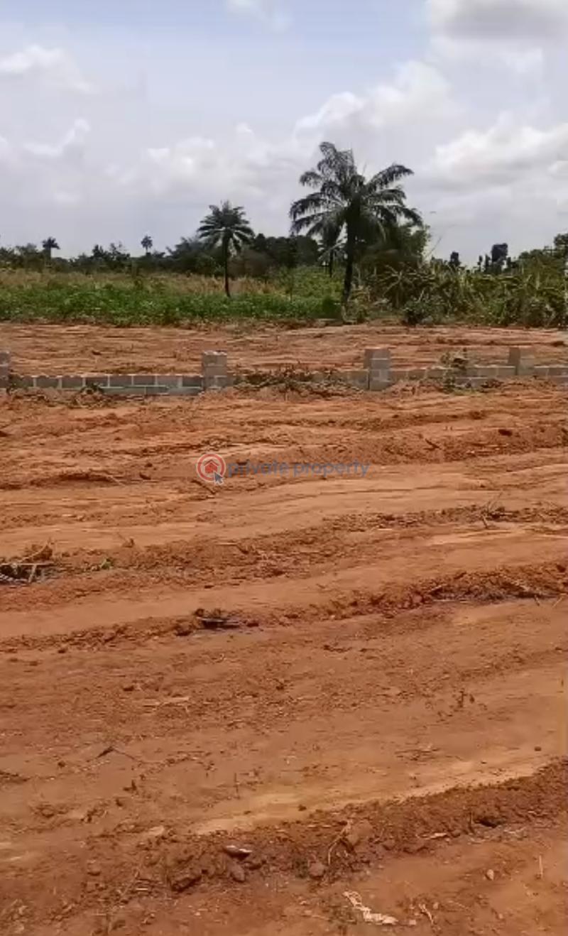 Mixed use Land For Sale Chiamanda Estate Directly Facing Illah/ugbolu Road Aniocha South Delta - 4