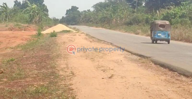 Mixed use Land For Sale Chiamanda Estate Directly Facing Illah/ugbolu Road Aniocha South Delta - 1