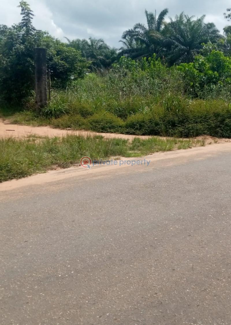 Mixed use Land For Sale Directly Facing Express Road , Itokin Road Epe Lagos - 3