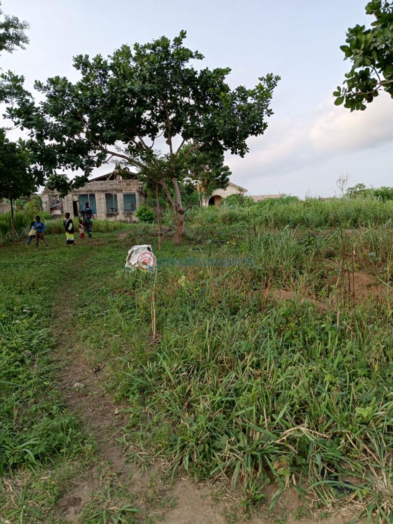 Enugu 9th mile genuine land - 1 Residential Land For Sale Enugu Area  - 1