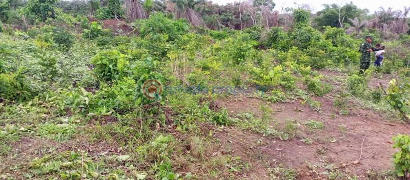 Land For Sale Íní Residential Estate Epe Lagos - 2