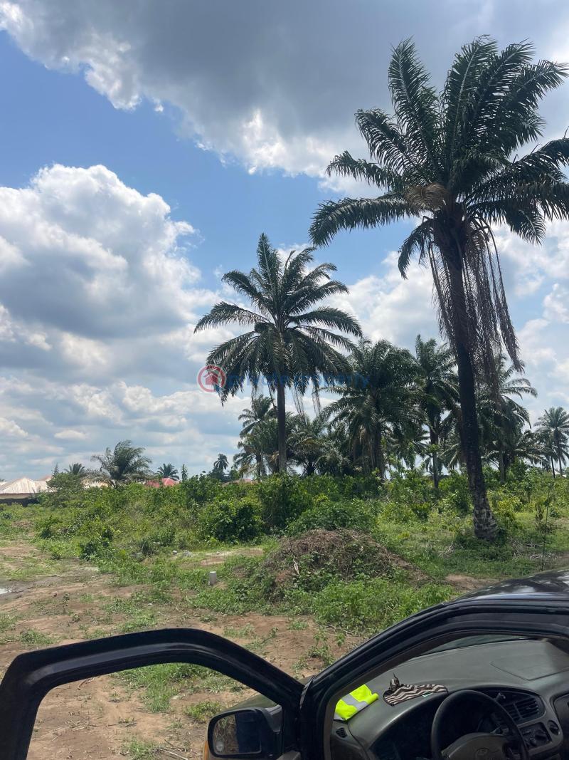 Residential Land For Sale Eneka Igbo Etche Link Road Eneka Port Harcourt Rivers - 2