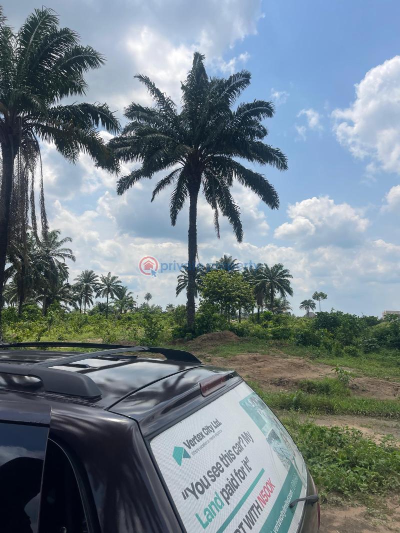 Residential Land For Sale Eneka Igbo Etche Link Road Eneka Port Harcourt Rivers - 4