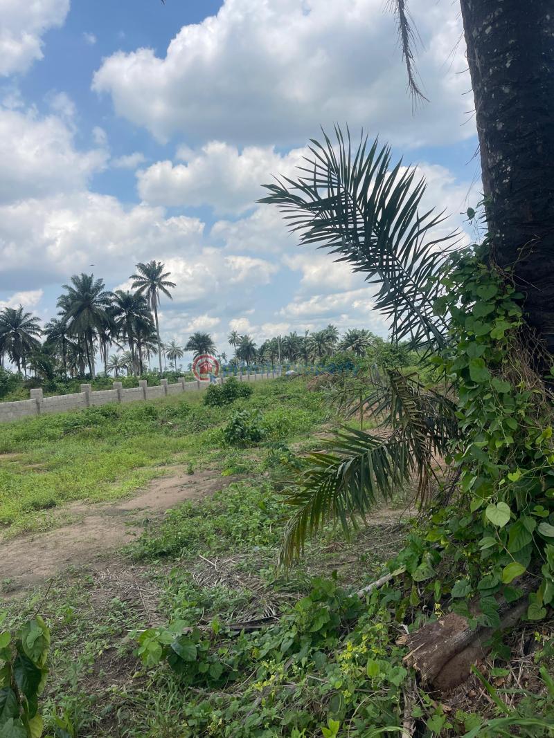 Residential Land For Sale Eneka Igbo Etche Link Road Eneka Port Harcourt Rivers - 5