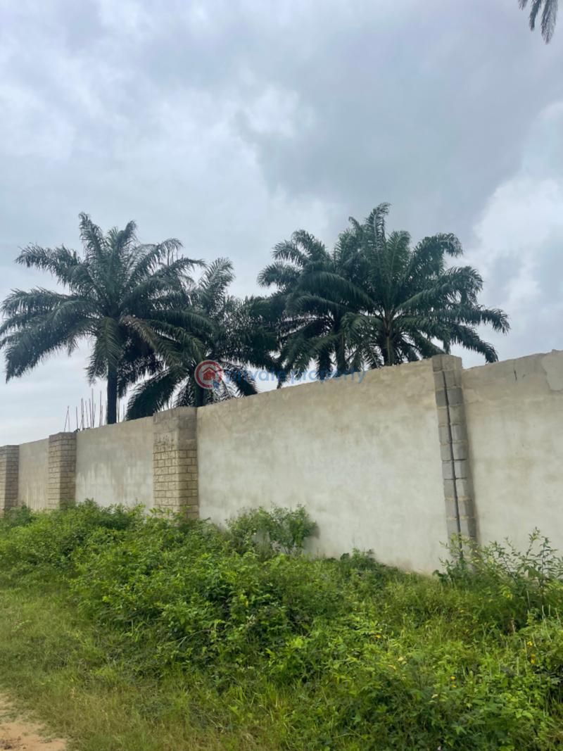 Residential Land For Sale Iriebe Eriebe Port Harcourt Rivers - 3