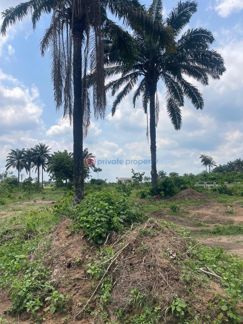 Residential Land For Sale Eneka Igbo Etche Link Road Eneka Port Harcourt Rivers - 3