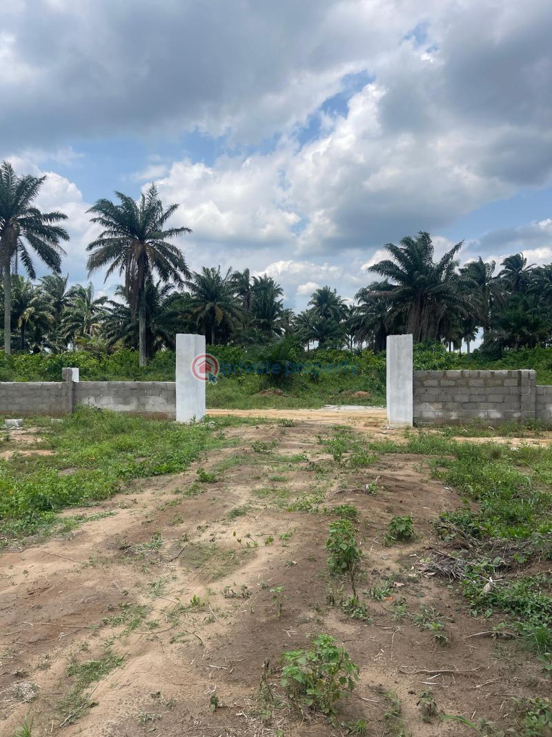 Residential Land For Sale Eneka Igbo Etche Link Road Eneka Port Harcourt Rivers - 1