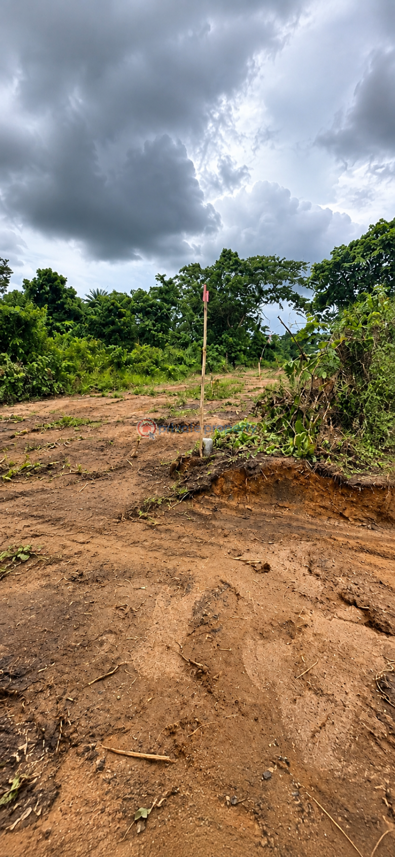 Commercial Land For Sale East Lake Gardens Igwuruta Ali New Layout Port Harcourt Rivers - 1