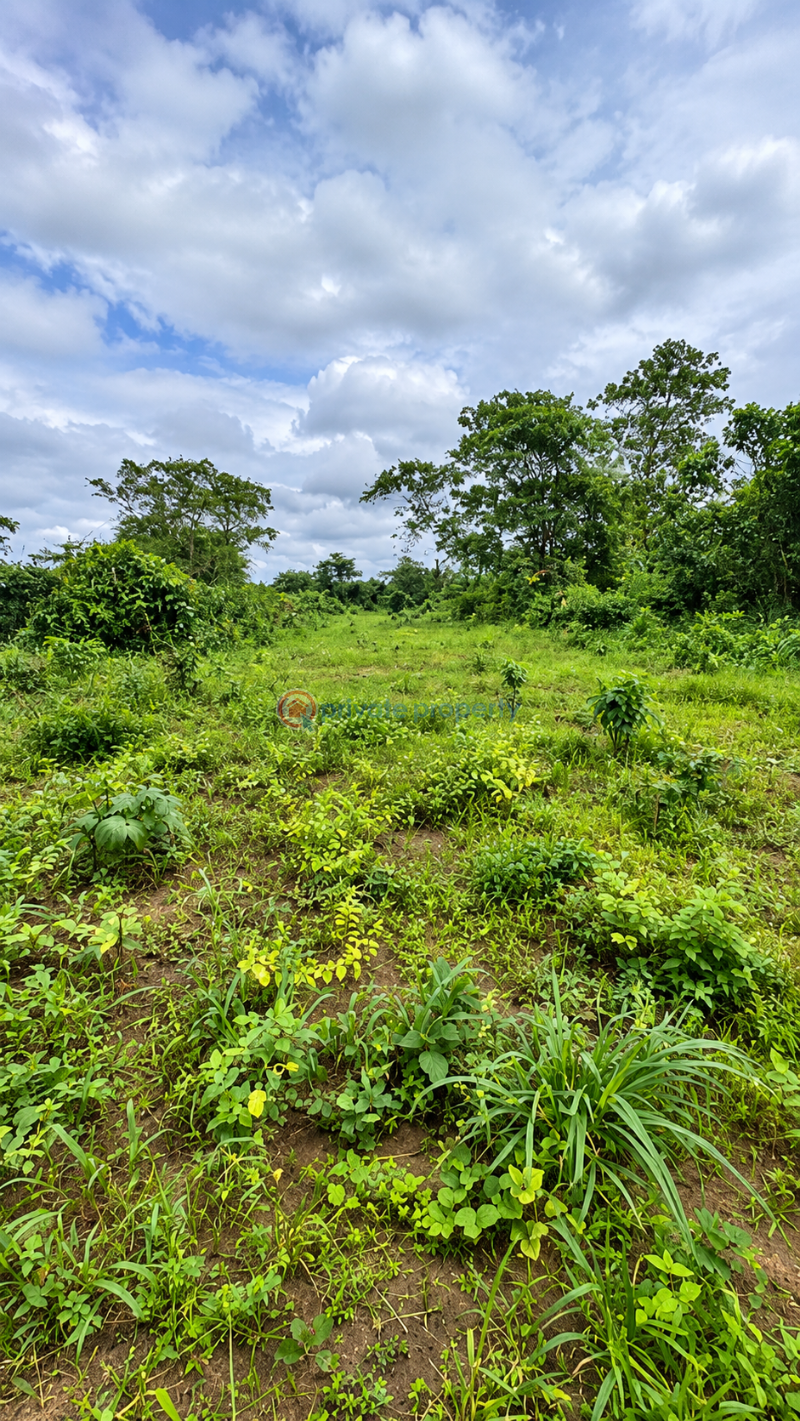 Commercial Land For Sale East Lake Gardens Igwuruta Ali New Layout Port Harcourt Rivers - 4
