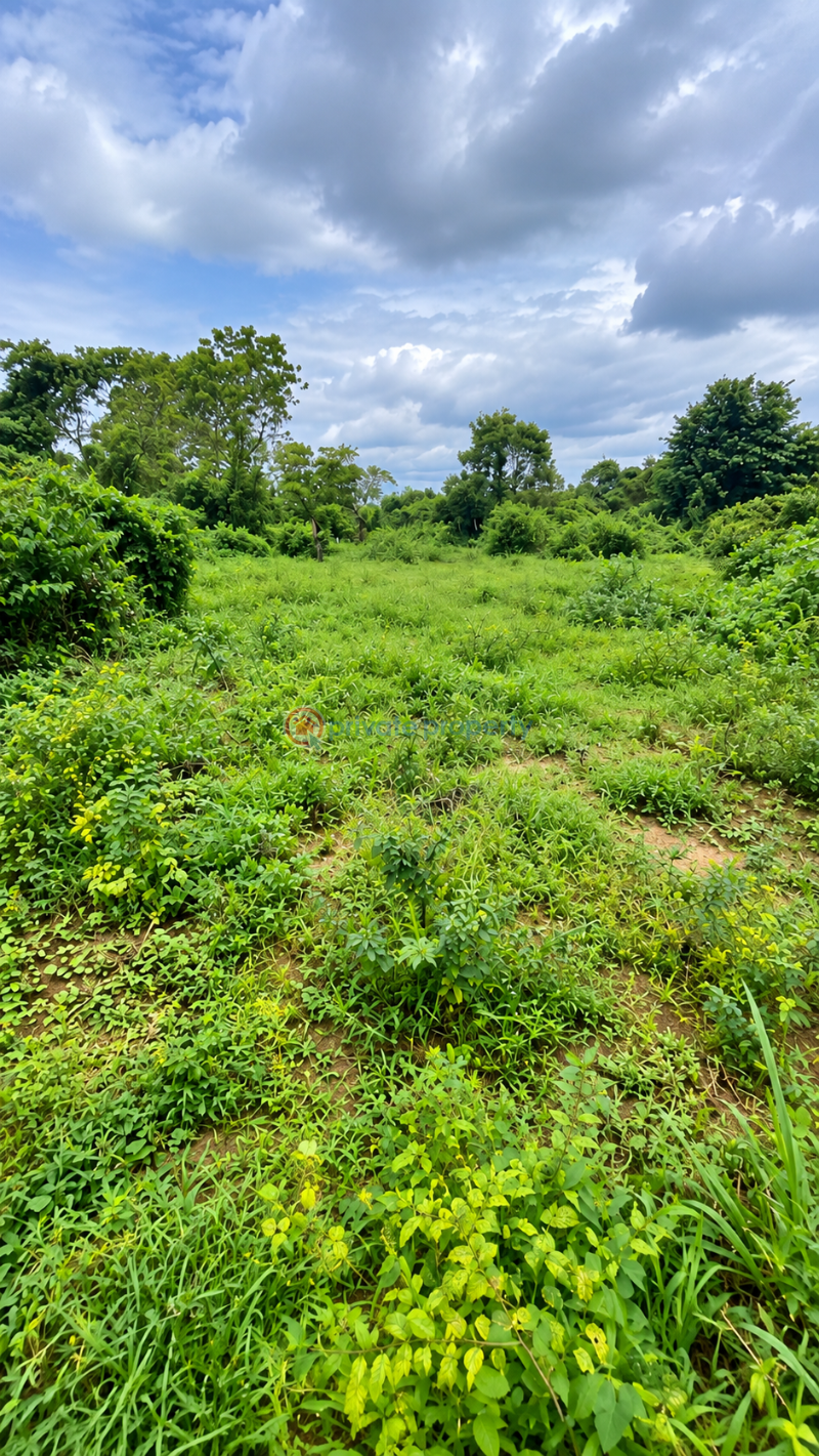 Commercial Land For Sale East Lake Gardens Igwuruta Ali New Layout Port Harcourt Rivers - 3