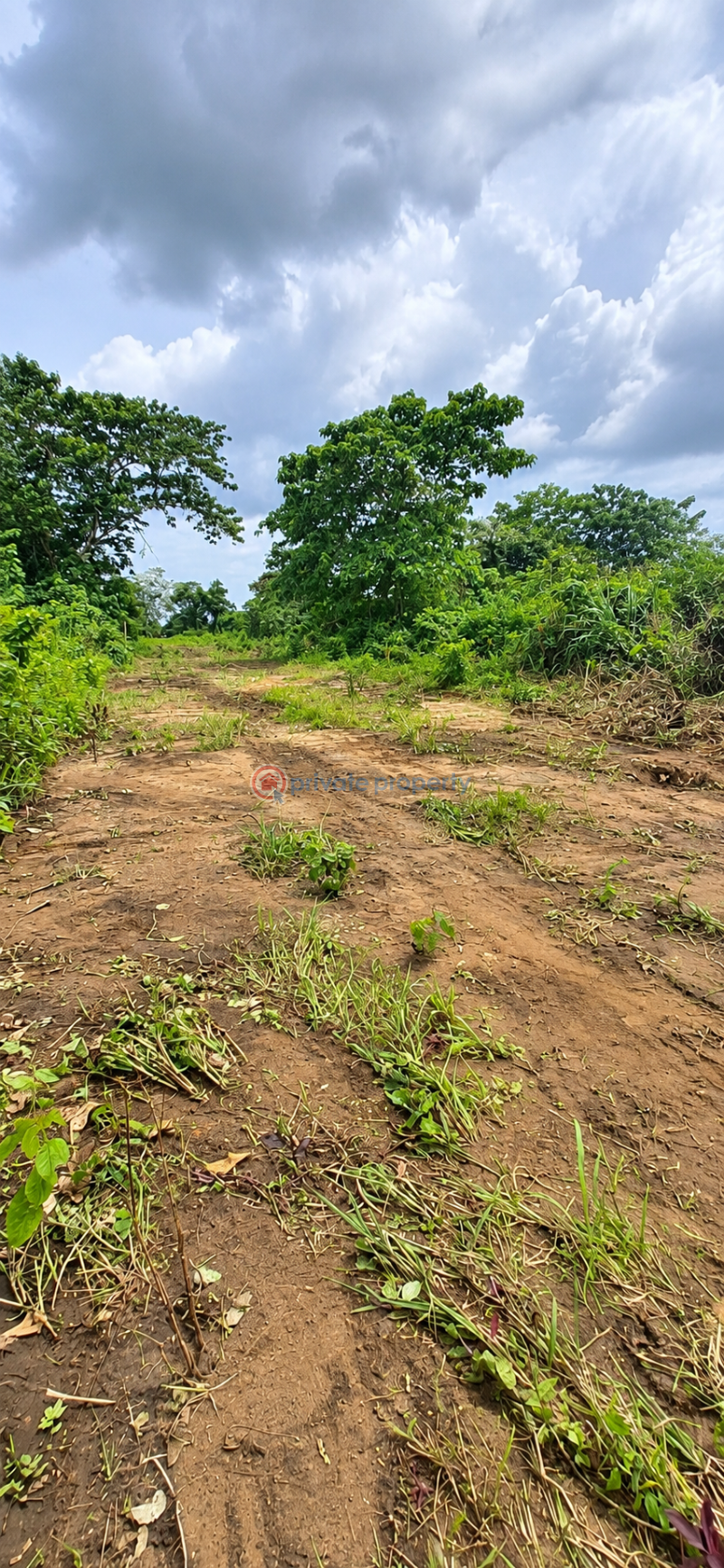 Commercial Land For Sale East Lake Gardens Igwuruta Ali New Layout Port Harcourt Rivers - 2