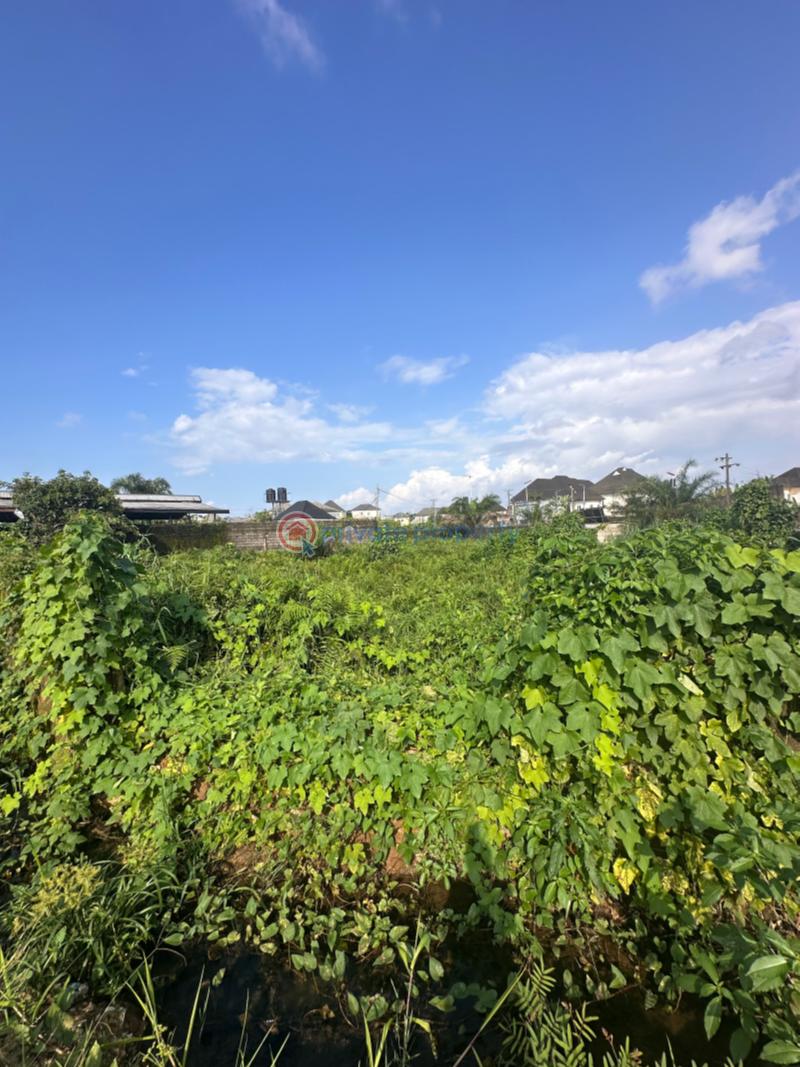 Commercial Land For Sale Next Wave Court Eliozu Port Harcourt Rivers - 1