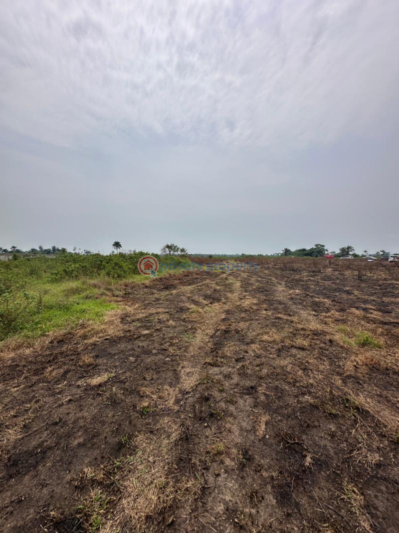 Residential Land For Sale Omagwa Port Harcourt Rivers - 4