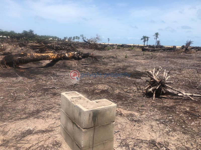 Residential Land For Sale Irede Estate By Horizon Ise Town Ibeju-Lekki Lagos