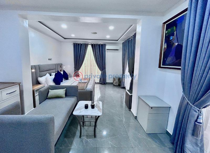 1 bedroom Penthouse Short let Banana Island Ikoyi Lagos - 6