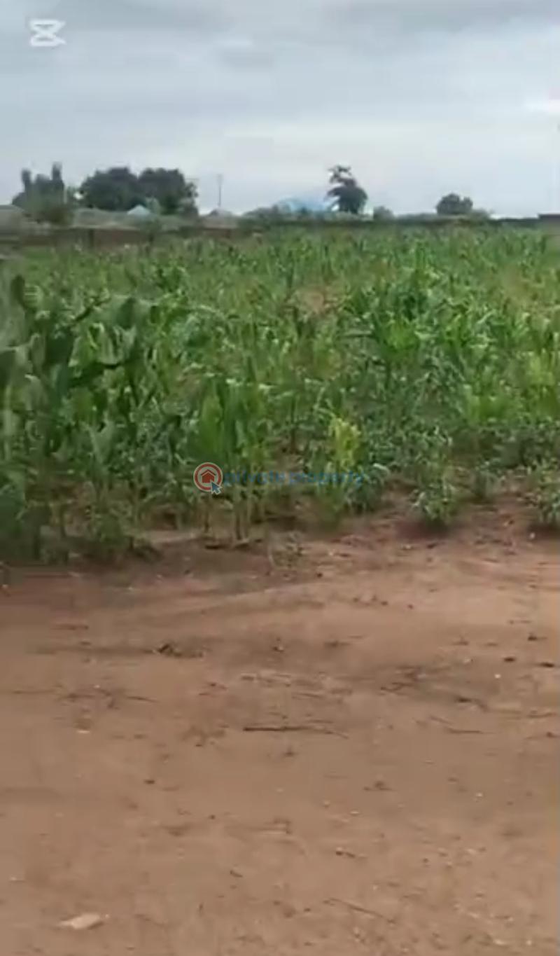 Mixed use Land For Sale Abuja/keffi Expressway / Opp. Goshen Living Faith / Besides Redeem Camp Mararaba Abuja Phase 4  - 1