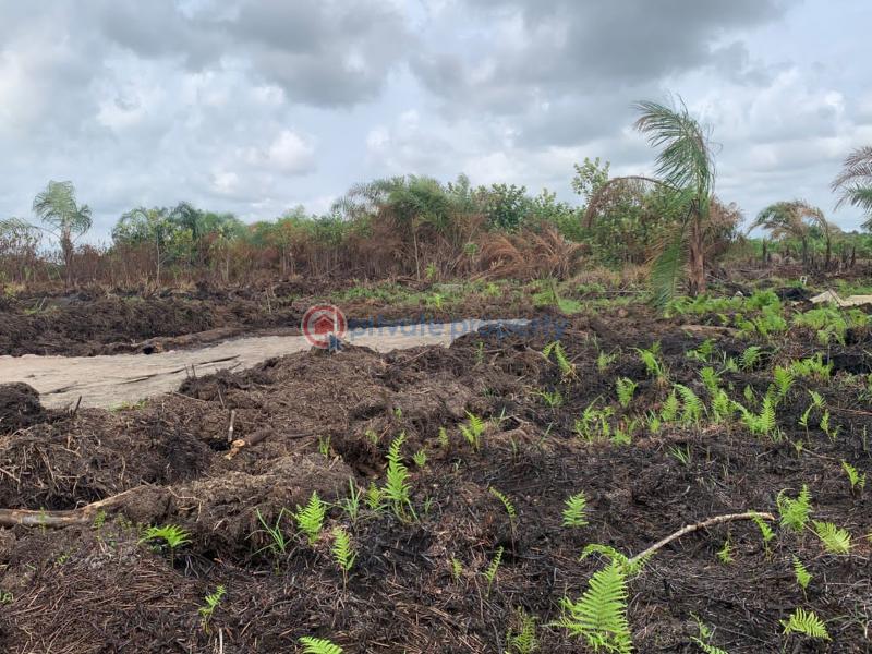 Residential Land For Sale Apple Court Plus Estate Gbogije Shappati Opposite Beechwood Estate Ibeju-Lekki Lagos - 0