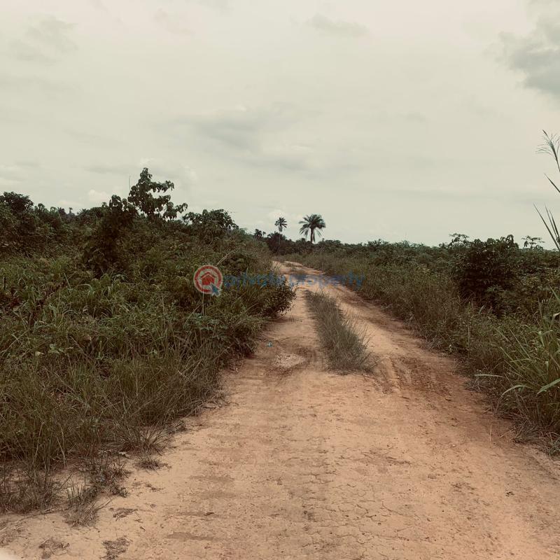 Land For Sale Odogbawojo, Epe Lagos - 0