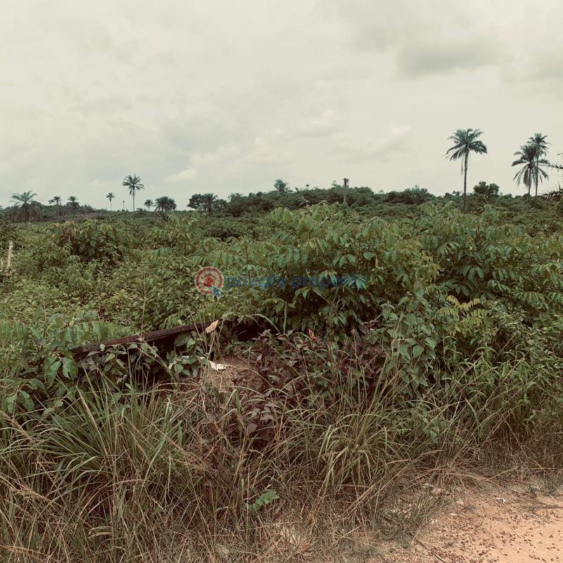 Land For Sale Odogbawojo, Epe Lagos - 1
