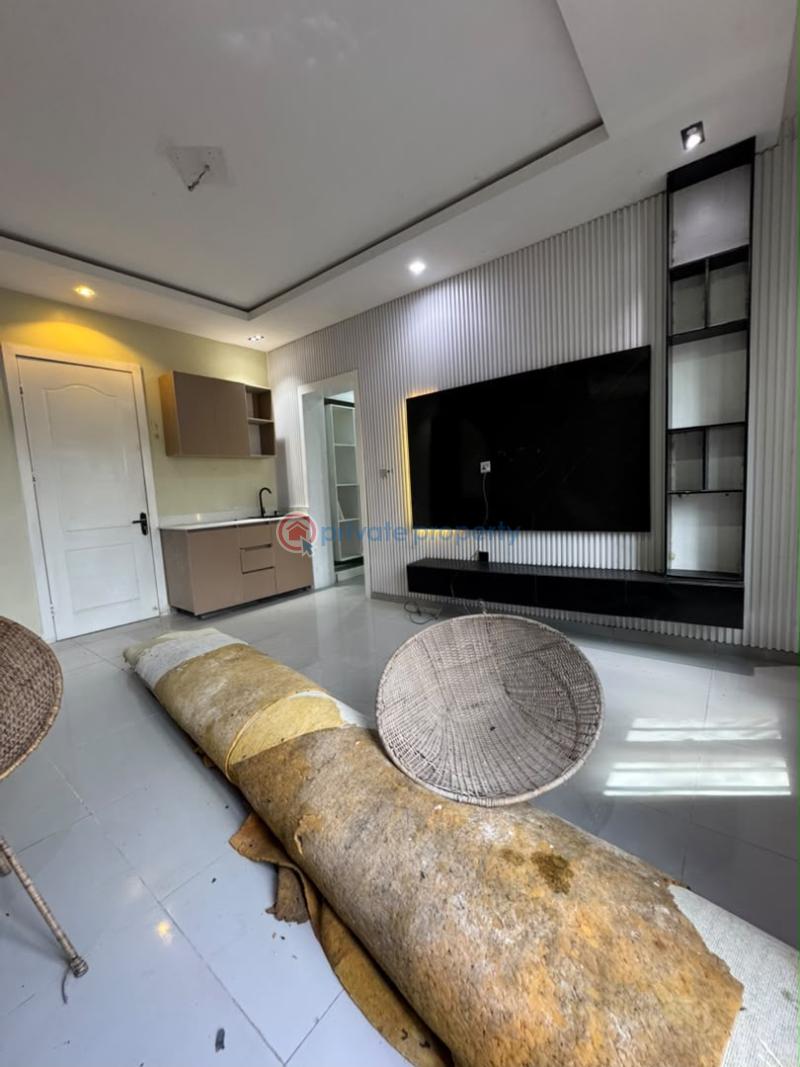 1 bedroom Studio Apartment For Rent Adeola Odeku Victoria Island Lagos - 3