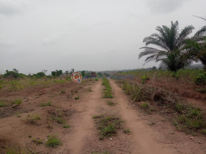 For sale Land Wasa District, After Apo, Abuja Phase 2 (PID 5PABBS