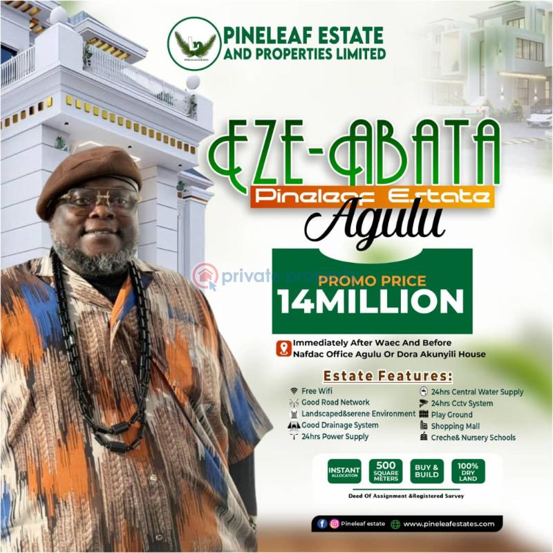 Land For Sale Immediately After Waec And Before Nafdac Office And Akunyili House Anaocha Anambra - 0