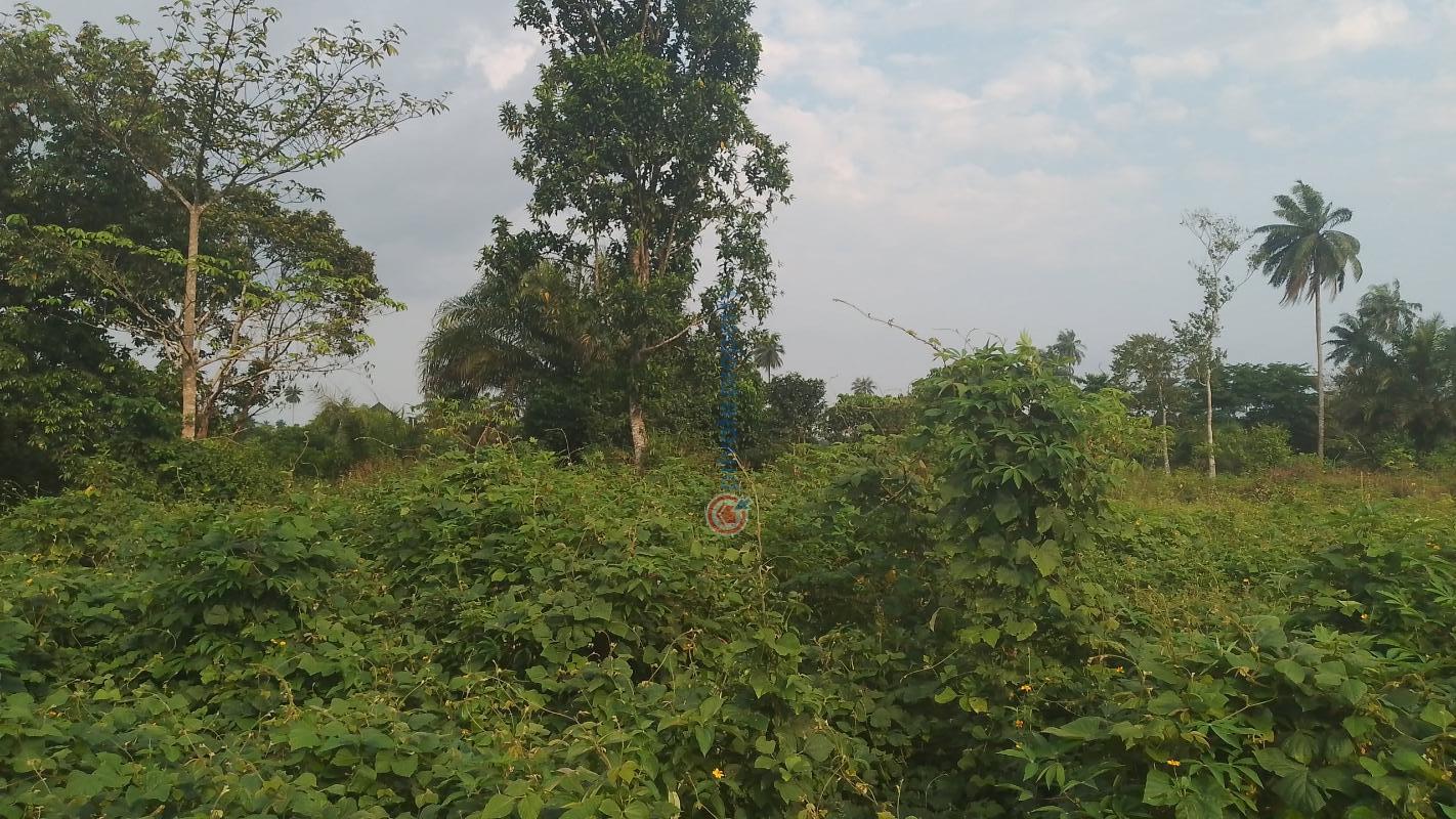 Mixed use Land For Sale Opposite Glass House, Off Ait Road, Opolo/elebele Road, Yenagoa. Bayelsa State Yenegoa Bayelsa - 2