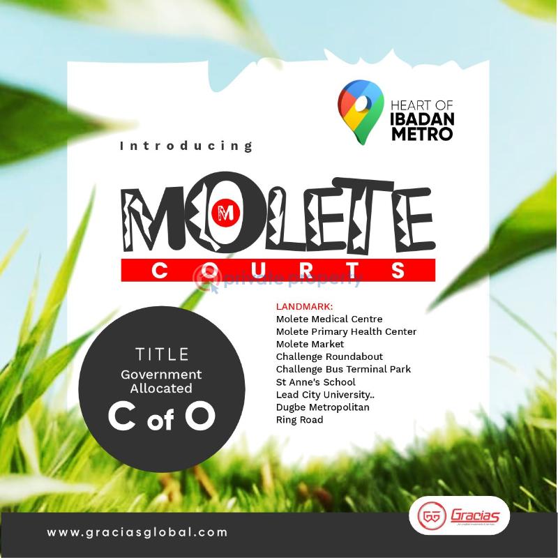 Residential Land For Sale Molete Courts, Molete Ibadan Oyo - 1