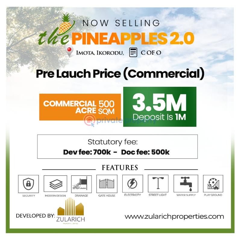 Mixed use Land For Sale The Pineapple Phase 2, Imota Ikorodu Lagos - 0