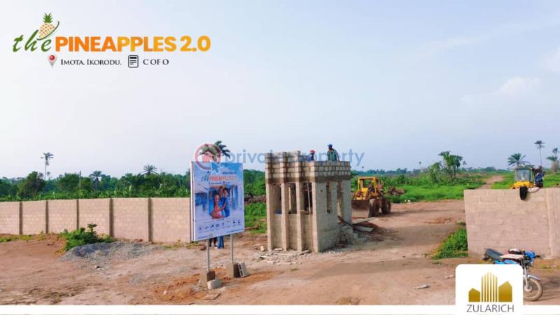 Mixed use Land For Sale The Pineapple Phase 2, Imota Ikorodu Lagos - 5