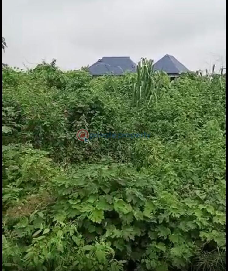 Residential Land For Sale Treasure Park And Gardens Estate Phase 2(city Of David), Shimawa Sagamu Ogun - 5