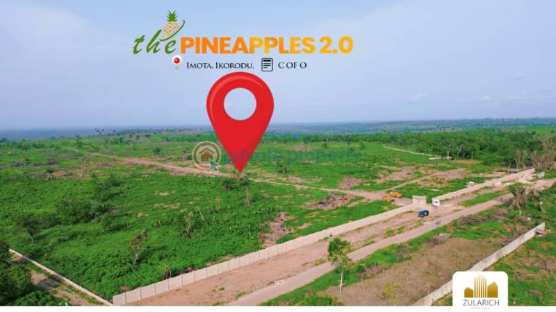 Mixed use Land For Sale The Pineapple Phase 2, Imota Ikorodu Lagos - 2