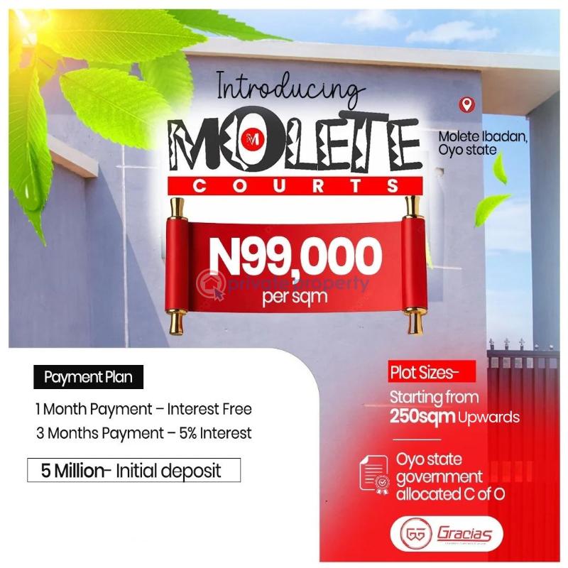 Residential Land For Sale Molete Courts, Molete Ibadan Oyo - 2