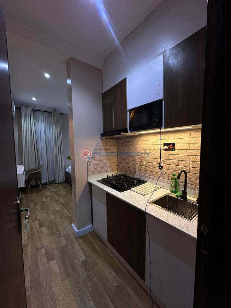 1 bedroom Studio Apartment Short let Ikoyi Lagos - 5