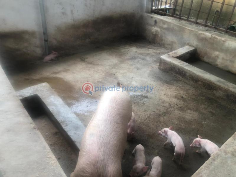 Factory For Sale Uba Awoyaya Behind Greenspring School Awoyaya Ajah Lagos - 4