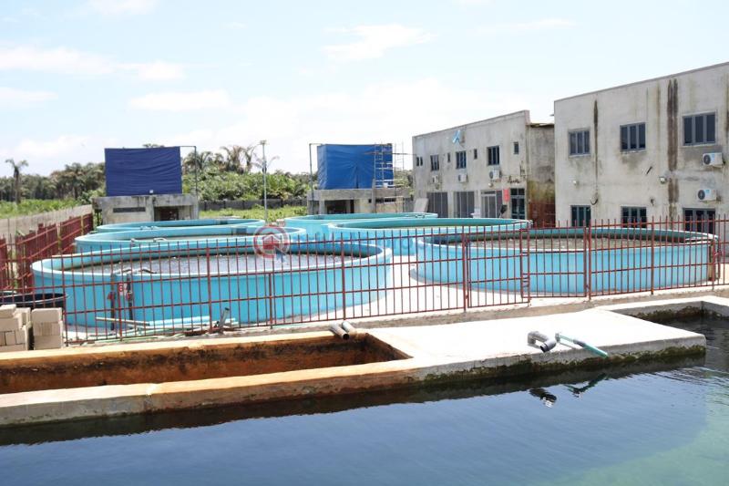 Factory For Sale Uba Awoyaya Behind Greenspring School Awoyaya Ajah Lagos - 1