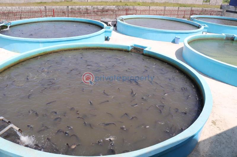 Factory For Sale Uba Awoyaya Behind Greenspring School Awoyaya Ajah Lagos - 2